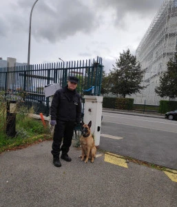 Agent cynophile Argenteuil