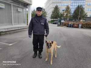 Agent cynophile Argenteuil